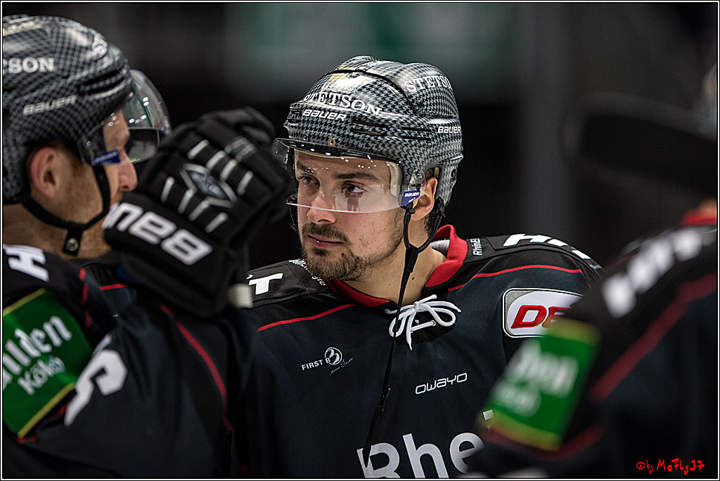 DEL, Koelner Haie - Nuernberg Ice Tiger, 24.01.2017